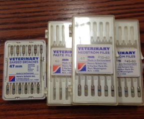 Veterinary Dental Files Assortment