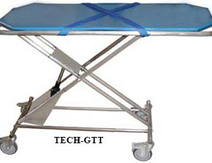 gas-assist-transport-table