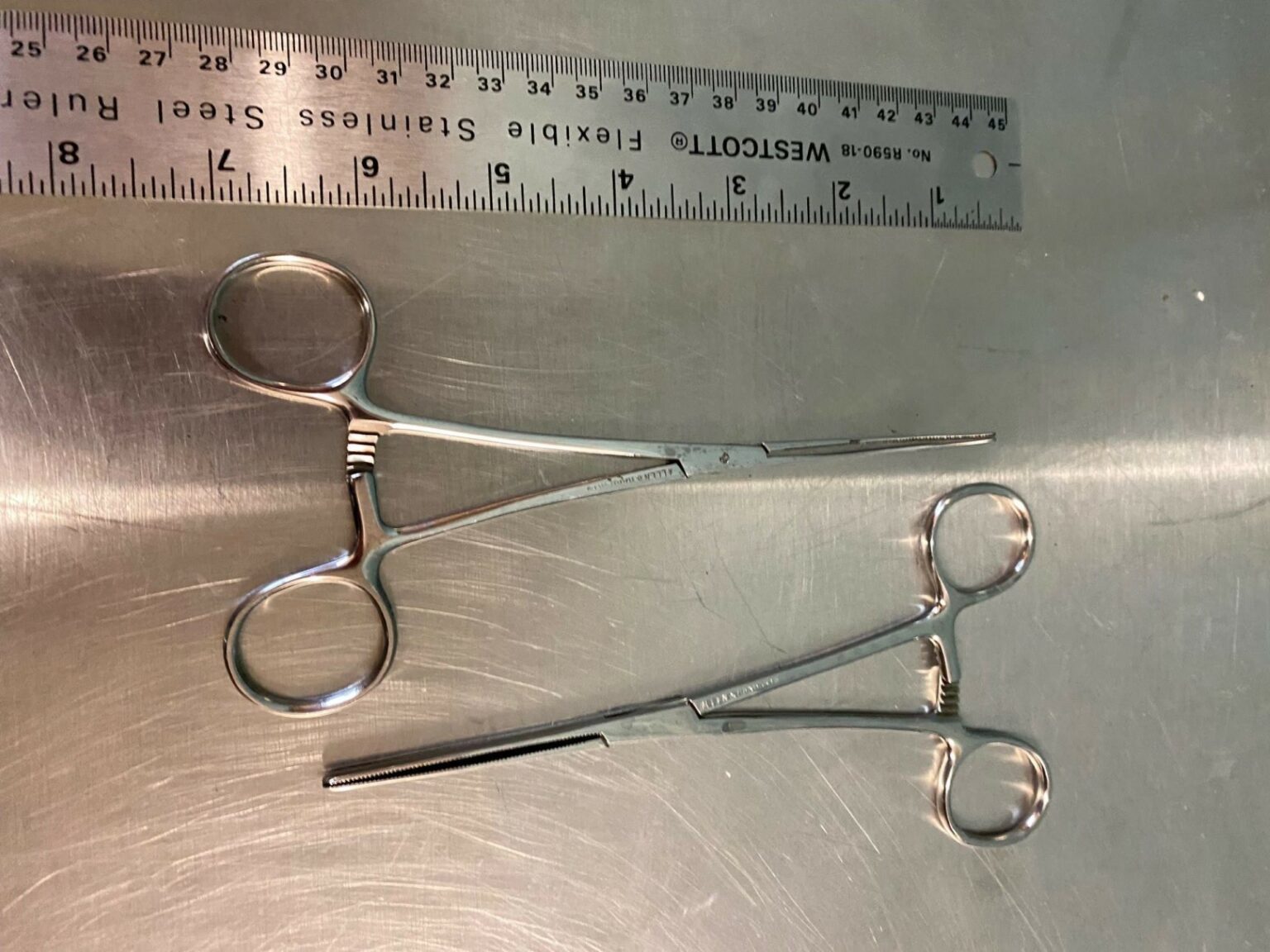 Carmalt Straight & Curved Forceps - Canmedical | VEEN Canada