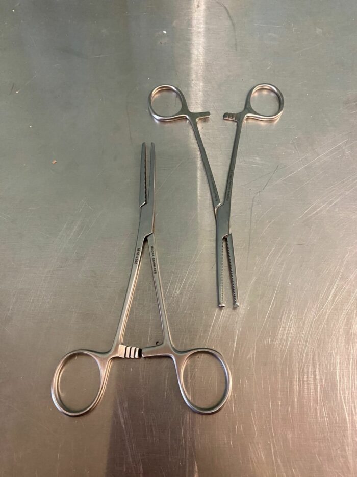 German Rochester Pean Straight Forceps