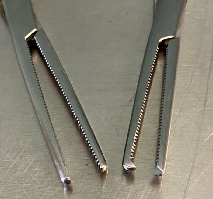 German Rochester Pean Straight Forceps - Image 2