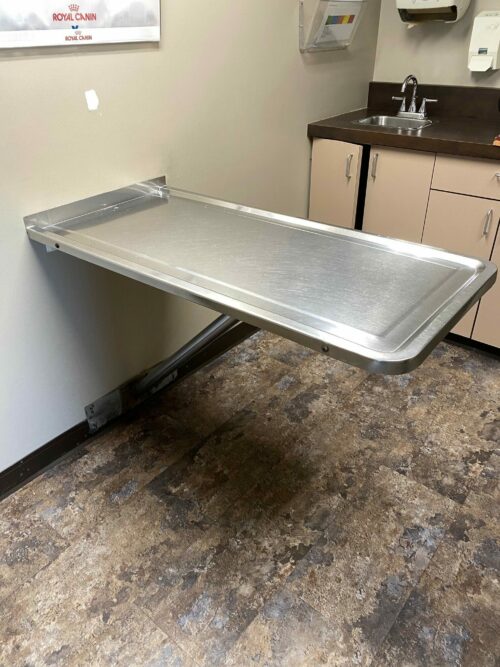Shor-Line Fixed Wall Mount Exam Table