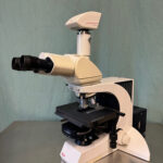 Leica DMLB Trinocular Microscope