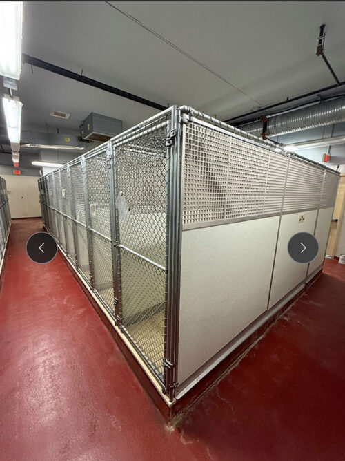 Mason Kennels Dog Runs