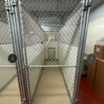Mason Kennels Dog Runs