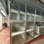 Mason Kennels Dog Runs