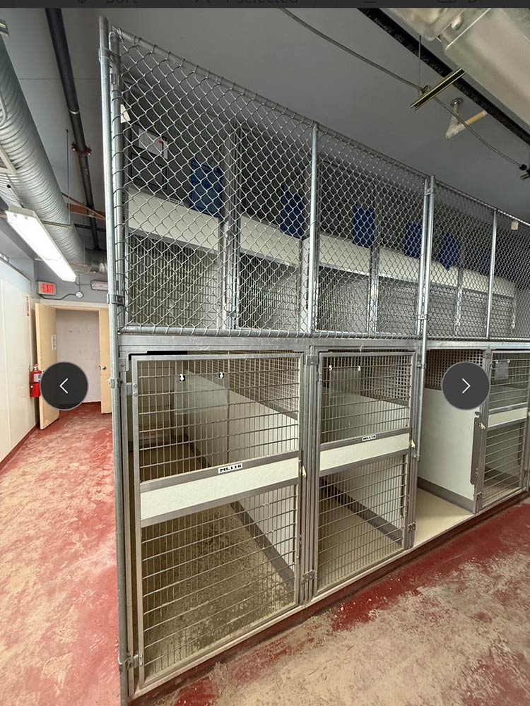 Mason Kennels Dog Runs