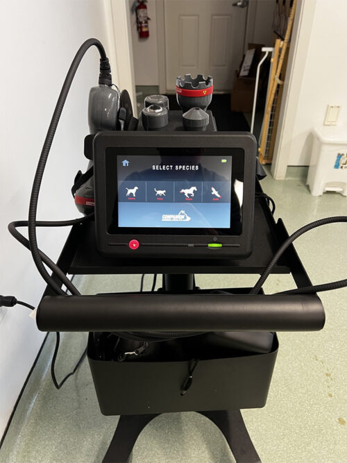 companion-ctx-veterinary-therapy-laser-2025-model